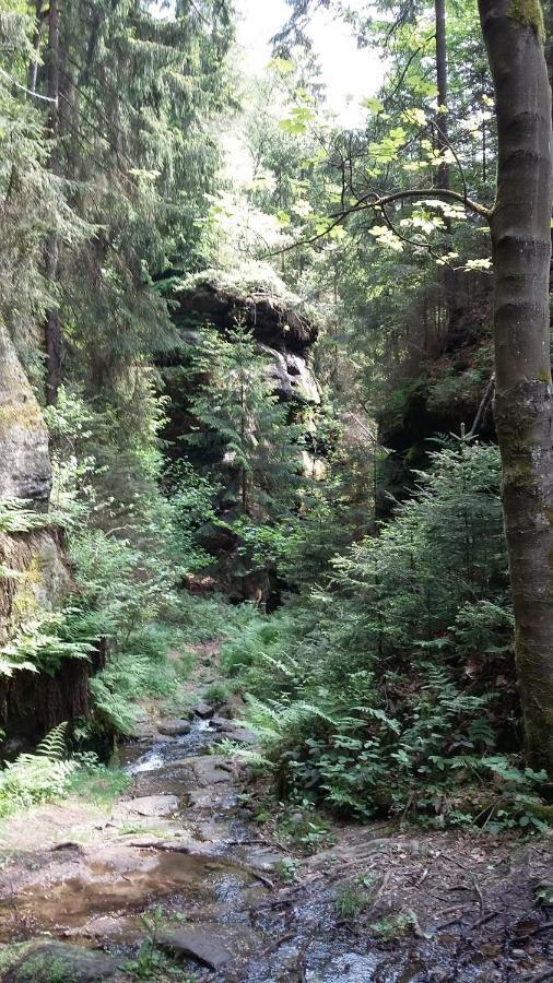 Ferienwohnung Bergblick Kleingiesshubel Экстерьер фото
